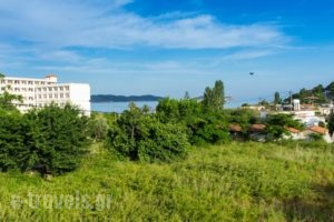 Rigas Apartments Achladies_best prices_in_Apartment_Sporades Islands_Skiathos_Skiathos Chora