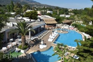 Palm Beach Hotel - Adults Only_lowest prices_in_Hotel_Dodekanessos Islands_Kos_Kos Chora