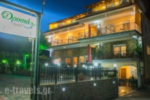 Drosia Hotel_travel_packages_in_Macedonia_Pella_Aridea