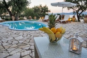 Villa Levantina_accommodation_in_Villa_Ionian Islands_Paxi_Paxi Chora