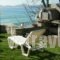 LA CASA SUL MARE_best prices_in_Hotel_Macedonia_Kavala_Eleftheroupoli
