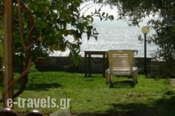 LA CASA SUL MARE_s __1