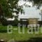 LA CASA SUL MARE_accommodation_in_Hotel_Macedonia_Kavala_Eleftheroupoli