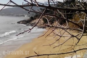 LA CASA SUL MARE_travel_packages_in_Macedonia_Kavala_Eleftheroupoli