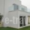 Villa Evriali_lowest prices_in_Villa_Crete_Rethymnon_Plakias