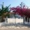 Villa Karina_accommodation_in_Villa_Sporades Islands_Skiathos_Skiathoshora