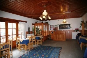 Apostolos Hotel_best prices_in_Hotel_Epirus_Ioannina_Metsovo