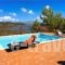 Eleni Adamou Apartments_holidays_in_Room_Sporades Islands_Skiathos_Skiathos Chora