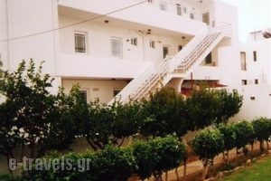 Marina Studios_holidays_in_Apartment_Dodekanessos Islands_Kos_Kardamena