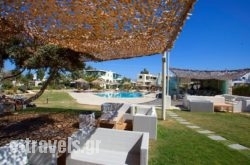 Angeliki Apartments_s __1
