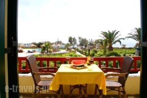 Angeliki Apartments_best prices_in_Apartment_Cyclades Islands_Naxos_Naxos Rest Areas
