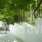 Villa Elpiniki_accommodation_in_Villa_Sporades Islands_Skiathos_Troulos