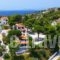 Villa Elpiniki_best deals_Villa_Sporades Islands_Skiathos_Troulos