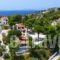 Villa Elpiniki_best deals_Villa_Sporades Islands_Skiathos_Troulos