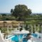 Alkioni_best prices_in_Hotel_Ionian Islands_Kefalonia_Katelios