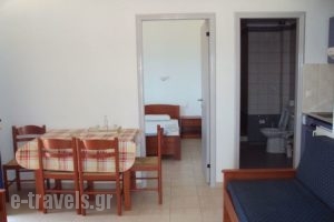 Filoxenia Lendas Studios and Apartments_accommodation_in_Apartment_Crete_Heraklion_Lendas