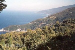 Villa Georgie_best prices_in_Villa_Thessaly_Magnesia_Tsagarada