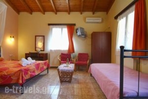 Kelari Studios_best prices_in_Apartment_Central Greece_Fokida_Delfi