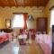 Kelari Studios_best prices_in_Apartment_Central Greece_Fokida_Delfi