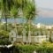 Antilia Apartments_best prices_in_Hotel_Crete_Chania_Tavronitis
