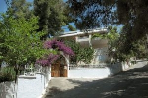 Zontanos Studios_best deals_Room_Piraeus Islands - Trizonia_Poros_Poros Chora