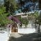 Zontanos Studios_best deals_Room_Piraeus Islands - Trizonia_Poros_Poros Chora