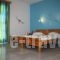 Ambelaki Studios_accommodation_in_Apartment_Cyclades Islands_Naxos_Naxos Chora