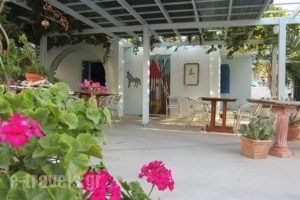 Emporio Hotel - Ancient Elefsina_holidays_in_Hotel_Cyclades Islands_Sandorini_Emborio