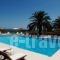 Fereniki complex - Manousos Sea Studios_best prices_in_Apartment_Crete_Chania_Georgioupoli