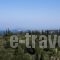 Villa Yannis_lowest prices_in_Villa_Ionian Islands_Corfu_Corfu Rest Areas