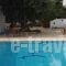 Olympia Paxos_accommodation_in_Hotel_Ionian Islands_Paxi_Paxi Rest Areas