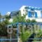 Sea View Studios & Apartments_accommodation_in_Apartment_Cyclades Islands_Naxos_Agia Anna