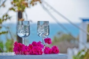 Sea View Studios & Apartments_travel_packages_in_Cyclades Islands_Naxos_Agia Anna
