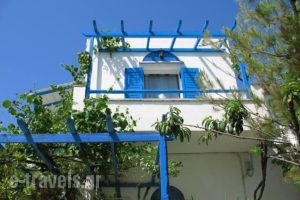 Sea View Studios & Apartments_holidays_in_Apartment_Cyclades Islands_Naxos_Agia Anna