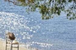 Xenia Poros Image Hotel_s __1