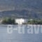 Oriental Bay_accommodation_in_Room_Crete_Chania_Palaeochora