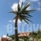 Agnanti Holiday Club_accommodation_in_Apartment_Ionian Islands_Zakinthos_Zakinthos Rest Areas