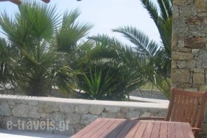 Giannoulaki Hotel_travel_packages_in_Cyclades Islands_Mykonos_Mykonos Chora