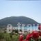 Katerina Resort_best deals_Room_Ionian Islands_Lefkada_Lefkada Rest Areas