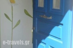Rania Studios_s __1