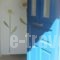 Rania Studios_accommodation_in_Apartment_Cyclades Islands_Andros_Ormos