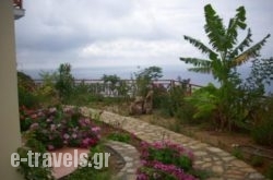 Irida maisonettes in Raches , Ikaria, Aegean Islands