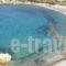 Abrami Traditional Villas - Kritikos_lowest prices_in_Villa_Cyclades Islands_Naxos_Naxos Rest Areas