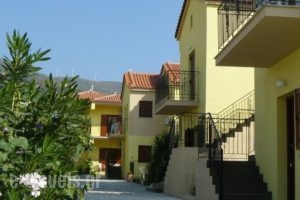 Stella Apartments_best deals_Apartment_Aegean Islands_Samos_Kambos