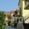 Stella Apartments_best deals_Apartment_Aegean Islands_Samos_Kambos