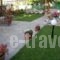 VasilikiPapakosta_holidays_in_Apartment_Macedonia_Pieria_Platamonas