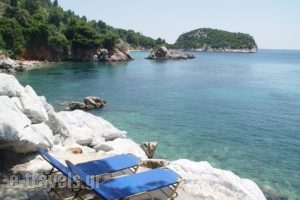 Mando Beachfront_lowest prices_in_Hotel_Sporades Islands_Skopelos_Stafylos