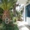 Finikas Studios_lowest prices_in_Apartment_Cyclades Islands_Kithnos_Kithnos Rest Areas