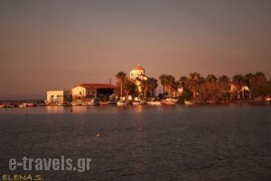 Eleftheria's Studios_best prices_in_Room_Piraeus Islands - Trizonia_Trizonia_Trizonia Rest Areas