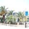 Finikas Studios_best deals_Apartment_Cyclades Islands_Kithnos_Kithnos Rest Areas